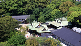 兵庫県指定の天然記念物 えびすの杜