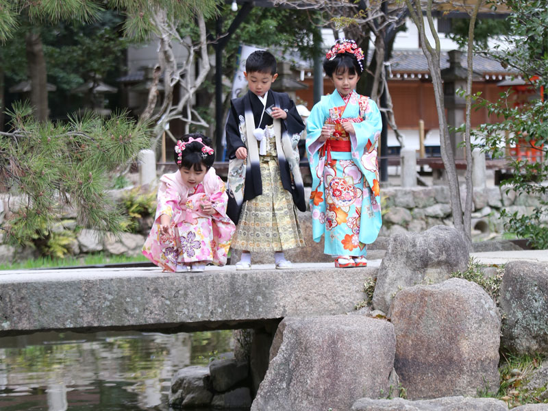 亀や鯉が泳ぐ神池。絶好の撮影ポイントです
